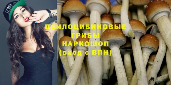скорость Аркадак